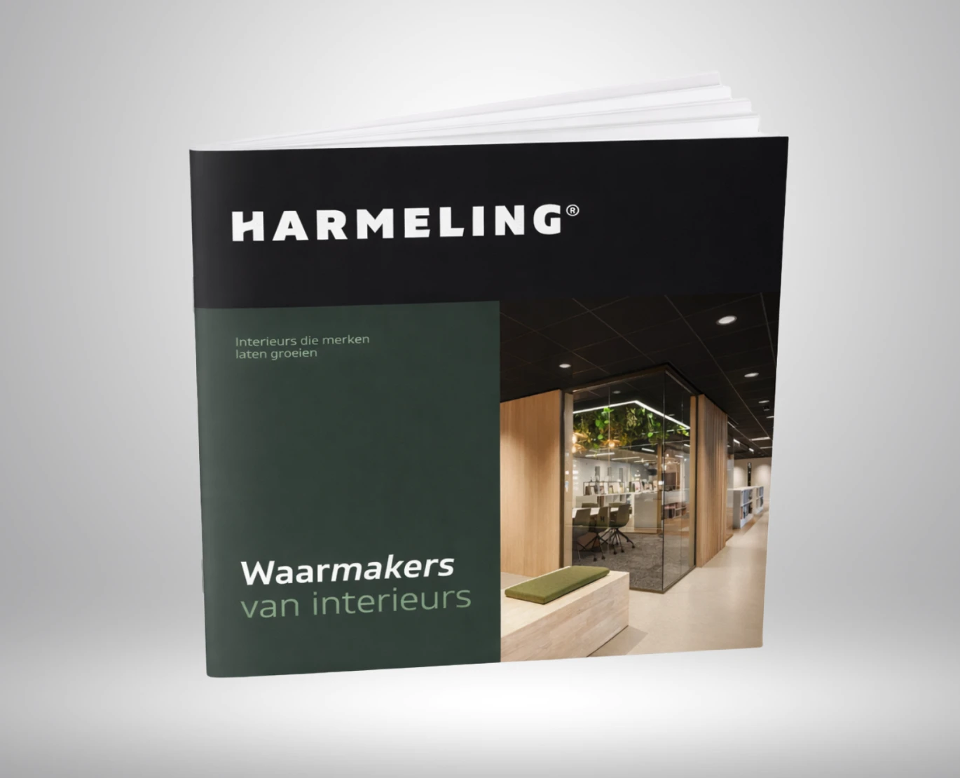 Brochure preview